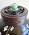 This is a beautiful Antique Chinese Famille Noir Porcelain Vase with Carved Rosewood Jade Ornament Lid. This plum blossom...