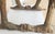 18th Century French X Folding Stool Frame For Sale - Image 17 of 17