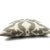 Kravet Barbara Barry Poetical in Gray Pillow Cover For Sale - Image 4 of 6