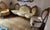 1990s French Rococco Sofa Set For Sale - Image 18 of 18