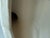 White Vintage Ceramic Swan Towel Holder For Sale - Image 8 of 9