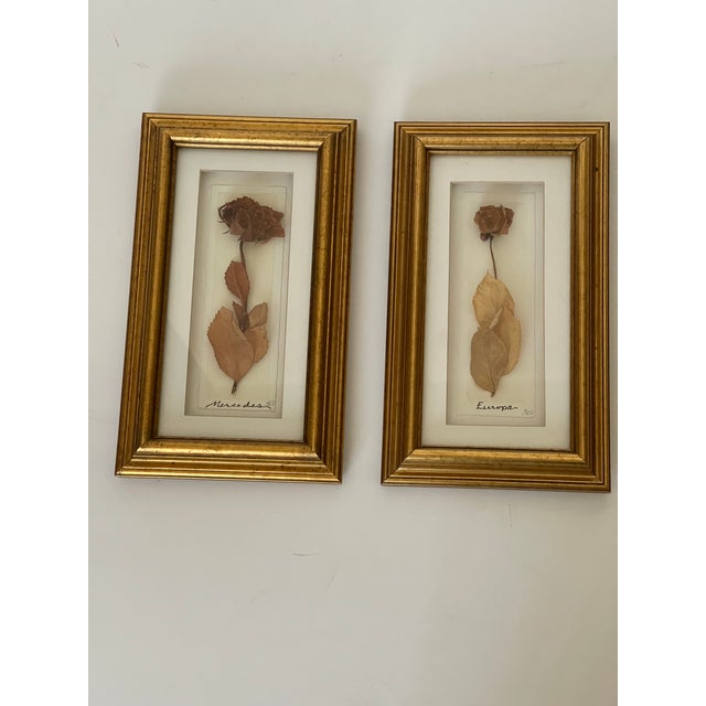 Contemporary 1970s Pair of Lovely Vintage Herbarium Roses, Framed For Sale - Image 3 of 6