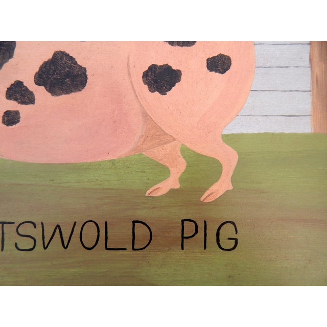 Matt Rix, Naive Style Prize Gloucester Spot Cotswold Pig, Oil on Board, Framed For Sale - Image 6 of 12