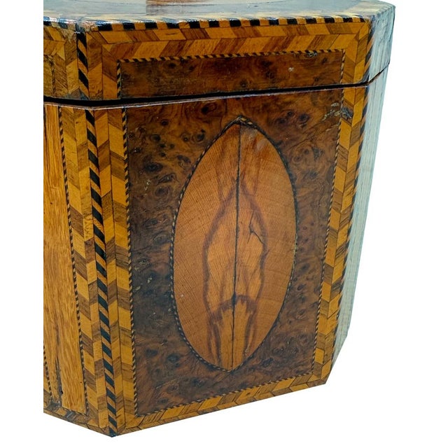 Late 18th Century Georgian Octagonal Yew Wood Tea Caddy, 1780s For Sale - Image 5 of 14