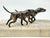 Early 20th Century S. Kirk & Sons Sterling Silver Foxhounds Sculpture Limited Edition For Sale - Image 11 of 15