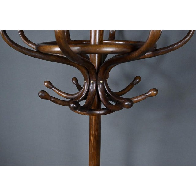 Wood Early 20th Century Parrot Coat Rack in Beechwood, 1890s For Sale - Image 7 of 18