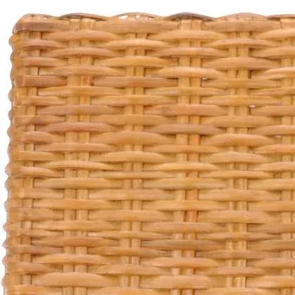 18''H Rattan Side Chair , Honey Oak - a Pair For Sale - Image 4 of 6