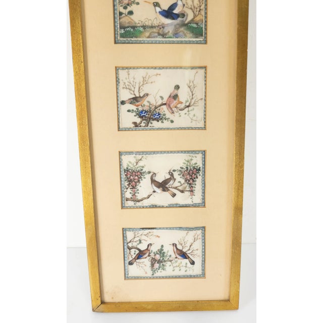 Chinoiserie 19th Century Framed Chinese Export Watercolor Pith Paintings of Birds For Sale - Image 3 of 11