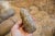 15th Century & Earlier Antique Bronze Age African Stone Primitive Tool For Sale - Image 5 of 6