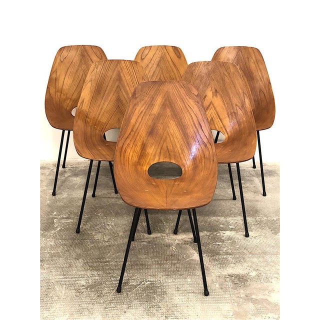 Dining Chairs attributed to Vittorio Nobili for Fratelli Tagliabue, 1950s, Set of 6 For Sale - Image 6 of 18