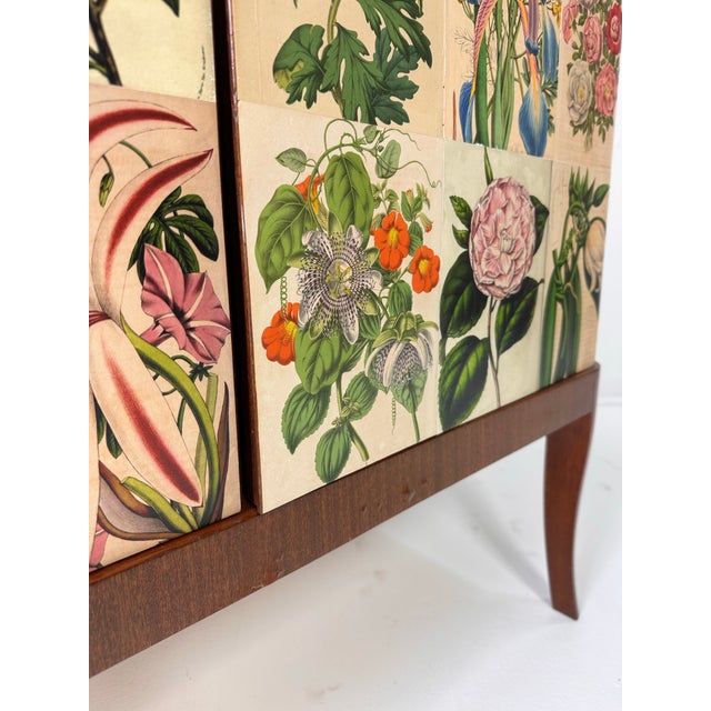 1940’s Swedish Cabinet Papered With Illustrations From La Belgique Horticole: Journal Des Jardins For Sale - Image 9 of 12