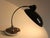 Brown German Bauhaus Model 6631 Brown Metal Desk Lamp by Christian Dell for Kaiser Idell, 1950s For Sale - Image 8 of 13