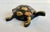 Vintage Mid-Century Mixed-Metal Turtle Hinged Ashtray For Sale - Image 4 of 9