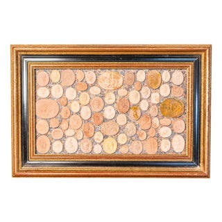 20th-Century French Framed Collection of Plaster Cameos For Sale