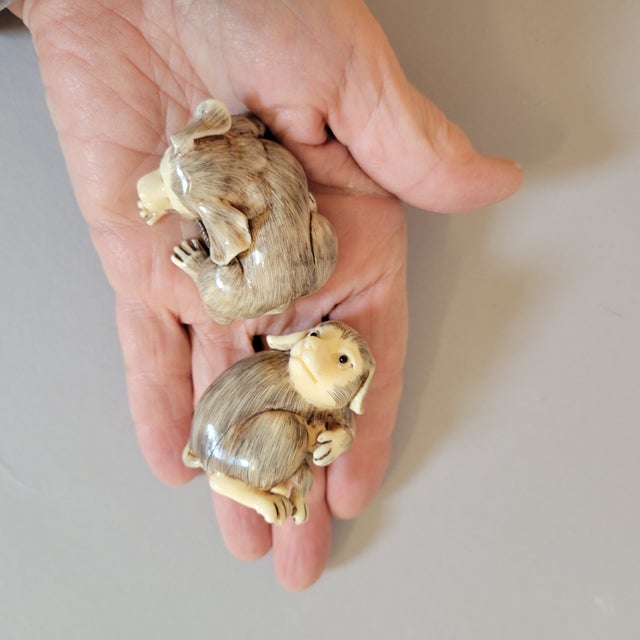 Pair of Carved Faux Ivory Dog Netsuke-Style Miniatures For Sale - Image 4 of 9