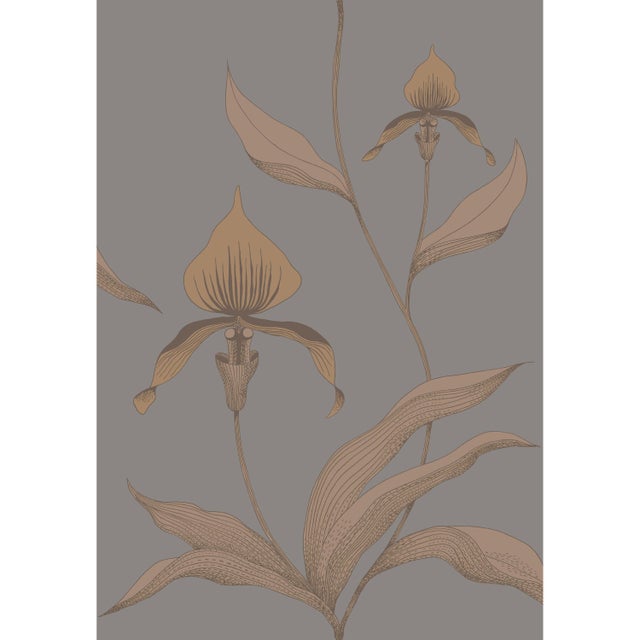 Cole & Son Orchid Wallpaper Roll Bronze/Slate Chairish