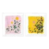 Botanical Diptych by Lia Burke Libaire in White Frame, Small Art Print For Sale