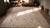 Beautiful and Decorative Soft Neutral Pastel With Delicate Flower Design Antique French Aubusson Rug For Sale - Image 9 of 10