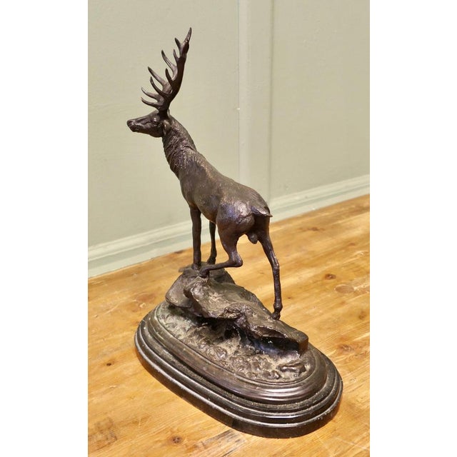 Signed Bronze Sculpture of a Stag Standing on a Rock set on a Marble Plinth A great Charming piece on an Animal theme...