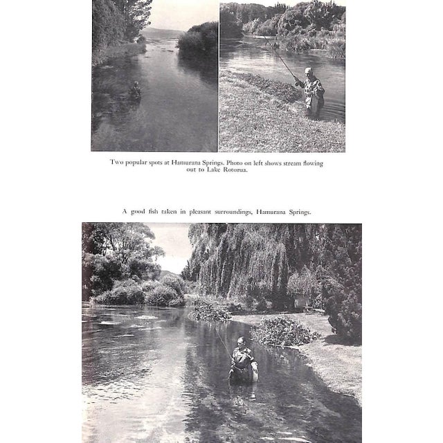 "Rotorua Trout the Fishing Lakes, Rivers and Streams of the Rotorua Conservancy, New Zealand" 1960 Gee, Frank For Sale - Image 10 of 11