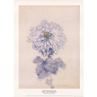 Piet Mondrian "Chrysanthemum" 1996 Poster For Sale