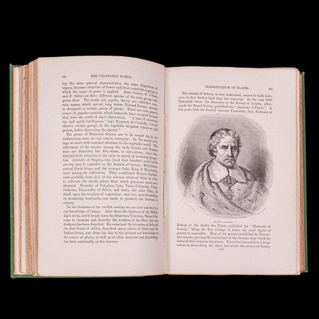 Green Antique Reference Book, the Vegetable World, English, Louis Figuier, Victorian For Sale - Image 8 of 12