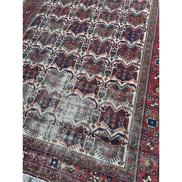 Afshar Cotton and Wool Rug, 1920s For Sale - Image 6 of 18