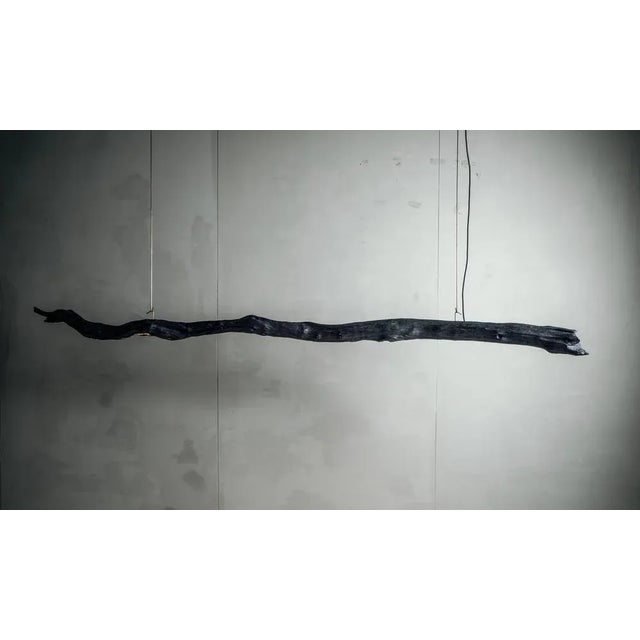 Burning Ego Light Suspension by Wim Verzantvoort For Sale - Image 8 of 13