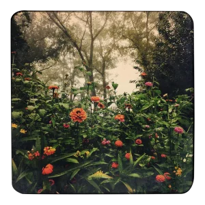 "Garden in Fog" Contemporary Botanical Photograph Digital Print by Louise Weinberg