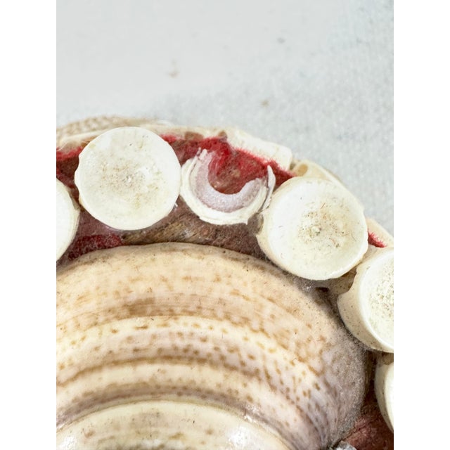 Shell Vintage Seashell Jewelry Box For Sale - Image 7 of 9