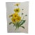 Antique Botanical Print From England Showcasing Bright Yellow Lance-Leaved Tick Seed Flowers - Circa 1894 For Sale