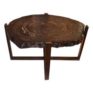 Andrianna Shamaris Petrified Wood Slab Table with Bronze Base For Sale