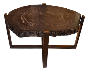 Andrianna Shamaris Petrified Wood Slab Table with Bronze Base