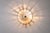 Bolide Wall Lamp by Hermian Sneyders De Vogel for Raak, 1960s For Sale - Image 6 of 13