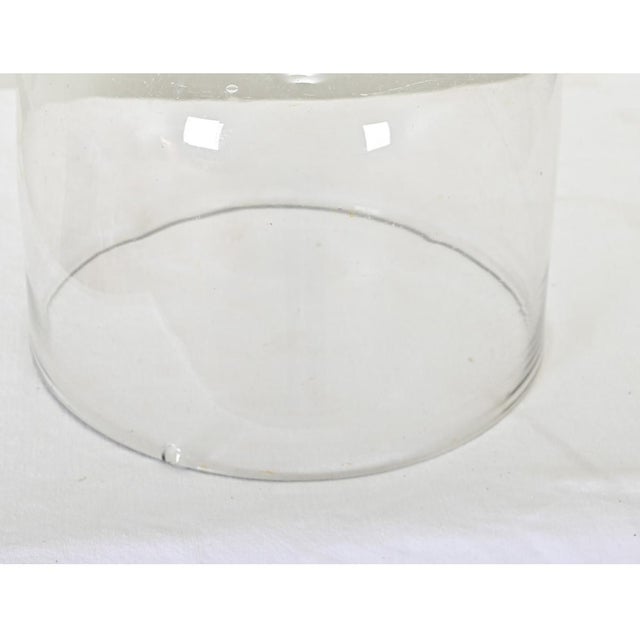 English 19th Century Glass Cheese Dome For Sale In Baton Rouge - Image 6 of 7