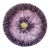 French Majolica Purple Daisy Plate Orchies, Circa 1890 For Sale