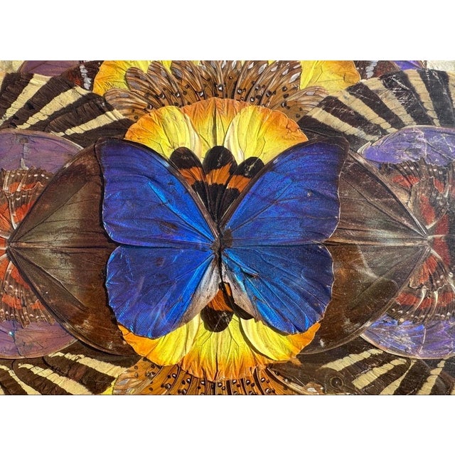 Set of two original decorative wall artworks from the 1950s, of Brazilian origin, representing natural Morpho butterflies,...