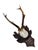 1920s Roe Deer Trophy 156 Black Foerst Antlers Mounr For Sale - Image 5 of 5