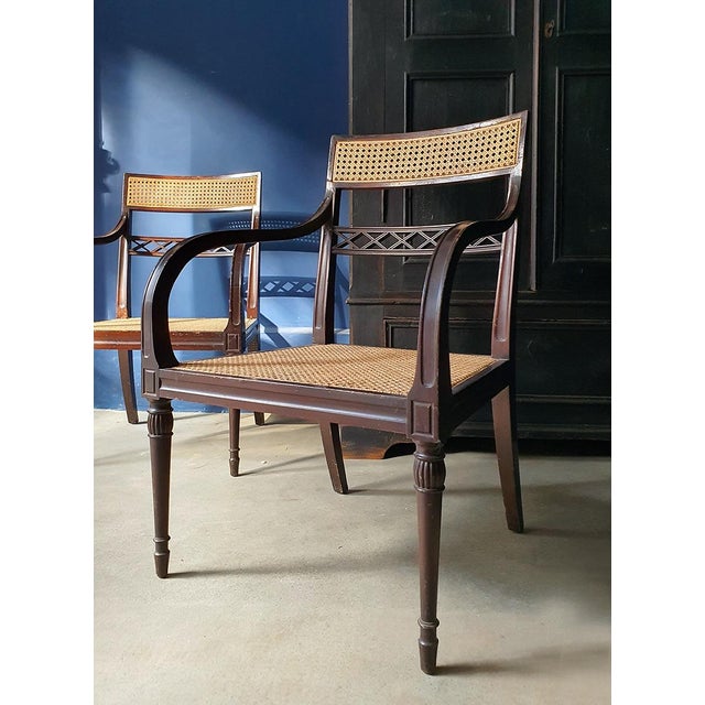Regency Mahogany and Cane Armchairs, England, 19th Century, Set of 2 For Sale - Image 5 of 10