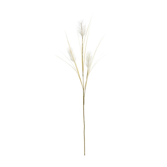 Bring a touch of nature into your home with this elegant set of Bunny Tail Sprays. Featuring beautifully crafted stems,...