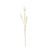 Bring a touch of nature into your home with this elegant set of Bunny Tail Sprays. Featuring beautifully crafted stems,...
