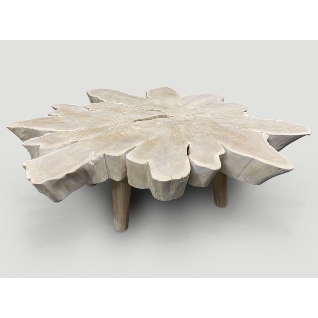 Andrianna Shamaris Amorphous Bleached Teak Wood Organic Coffee Table For Sale In New York - Image 6 of 6