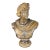 24" Mid-Century Italian Basco "Attila's Antiquity" Patinated Chalkware Bust of Apollo Belvedere For Sale