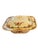 1900 - 1909 1900s English Cavendish Ware Square Covered Dish for Loeser’s Brooklyn For Sale - Image 5 of 11