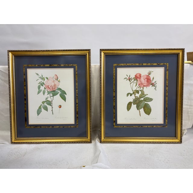 Set of Six Framed Redoutè Rose Botanical Prints For Sale - Image 4 of 7