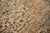 Coffee Vintage Distressed Bakhtiari Carpet - 10'2" x 12'1" For Sale - Image 8 of 11