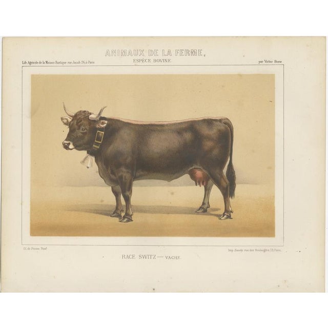 After Charles Olivier de Penne, Schwyz Cow with Bell, Swiss Brown Cattle, 1863, Chromolithograph For Sale - Image 3 of 9