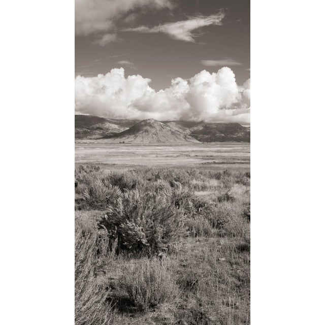 This digital archival print size is 18" x 12" printed on 19" x 13" Vibrance Matte Paper from Breathing Color in Austin,...