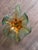 Vintage Murano Blown Glass - Green and Yellow Leaf Bowl For Sale - Image 9 of 9