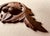 19th C. Hand-Carved Walnut Architectural Fragment - Acorn & Oak Leaf Medallion For Sale - Image 9 of 13